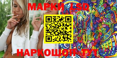 прущие крисы Камышлов
