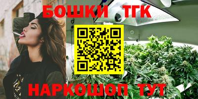 прущие крисы Камышлов