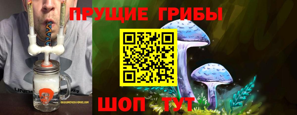 Галлюциногенные грибы Cubensis Майкоп
